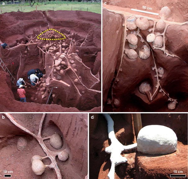 Excavated cement cast of an Atta laevigata leafcutter nest, with people for scale and close-ups of chambers