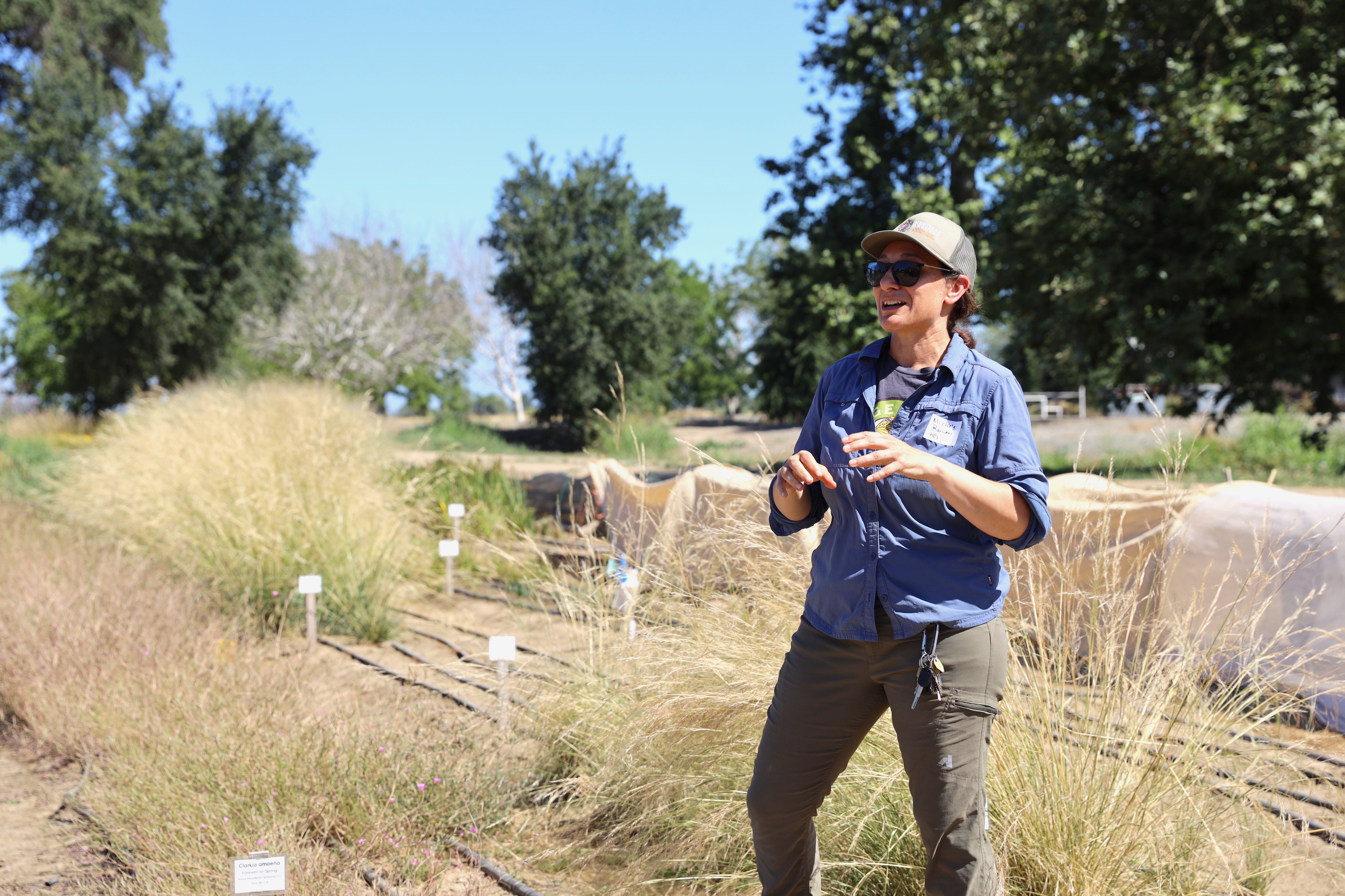 Michele Ranieri in a northern California native demonstration garden with flowering plants